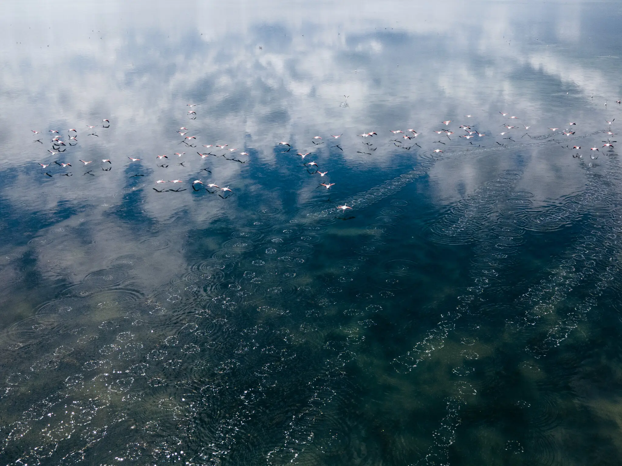 Новий рубіж розкішного туризму: як проекти Кушнера та уряду Албанії змінюють Адріатичне узбережжя